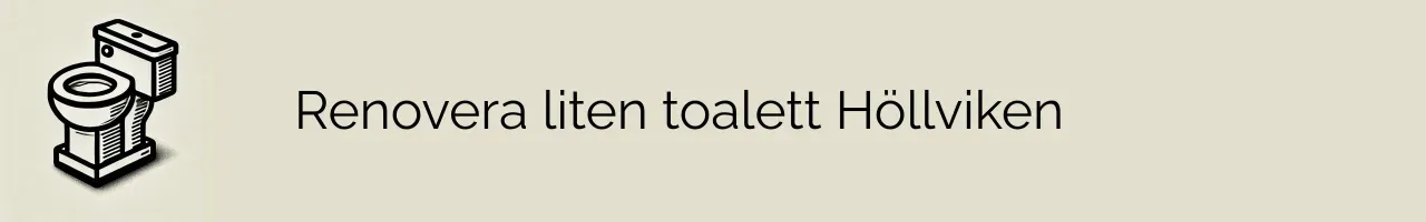 Renovera liten toalett Höllviken